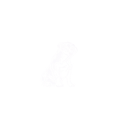 Bravo Dog Behavioural Health